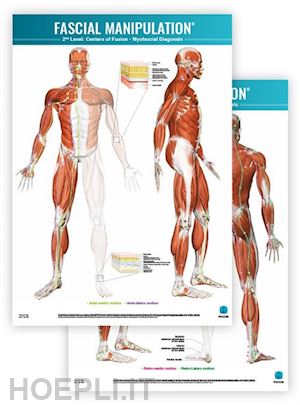 stecco - fascial manipulation 2nd level - 2 poster