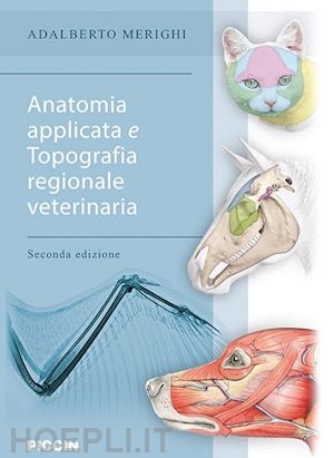 merighi adalberto - anatomia applicata e topografia regionale veterinaria