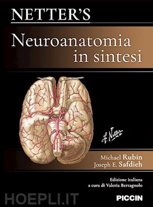 rubin michael; safdieh joseph e.; bertagnolo v. (curatore) - netter's. neuroanatomia in sintesi