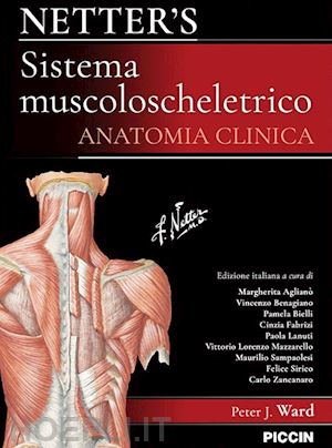 ward peter j. - netter's sistema muscoloscheletrico - anatomia clinica