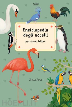 tuma tomas - enciclopedia degli uccelli per piccoli lettori. ediz. a colori