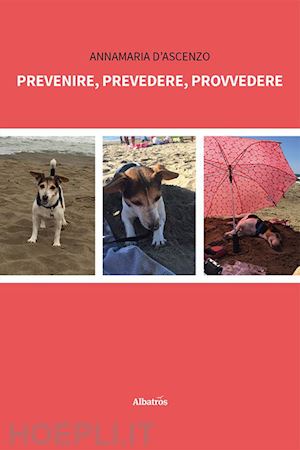 d'ascenzo annamaria - prevenire, prevedere, provvedere