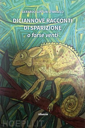 giffuni d'angelo gerardo - diciannove racconti di sparizione. o forse venti