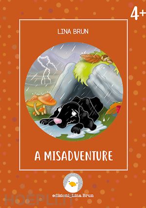 brun lina - a misadventure. ediz. illustrata