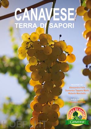 felis alessandro; tappero merlo domenico; marchello roberto - canavese terra di sapori