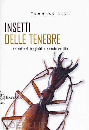 lisa tommaso - insetti delle tenebre. coleotteri troglobi e specie relitte