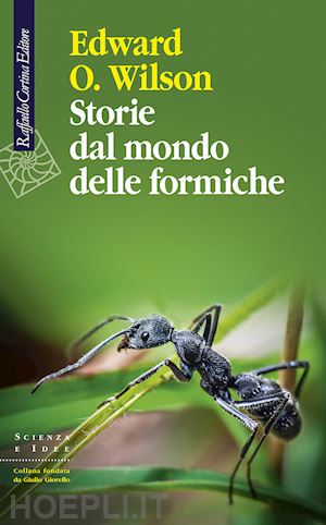 wilson edward o. - storie dal mondo delle formiche