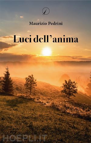 pedrini maurizio - luci dell'anima