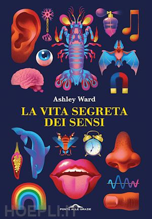 ward ashley - la vita segreta dei sensi