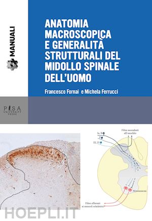 fornai francesco; ferrucci michela - anatomia macroscopica e generalita' strutturali del midollo