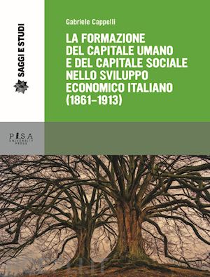 cappelli gabriele - formazione del capitale sociale nello sviluppo economico italiano (1861-1913)