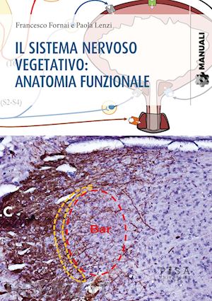 fornai francesco, lenzi paola - sistema nervoso vegetativo: anatomia funzionale