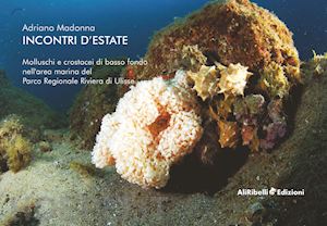 madonna adriano - incontri d'estate: molluschi e crostacei di basso fondo nell'area marina del parco riviera di ulisse