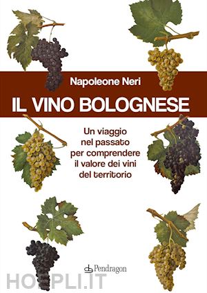 neri napoleone - il vino bolognese. un viaggio nel passato per comprendere il valore dei vini del territorio