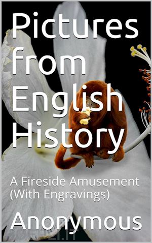 anonymous - pictures from english history / a fireside amusement