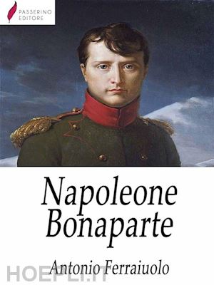 antonio ferraiuolo - napoleone bonaparte