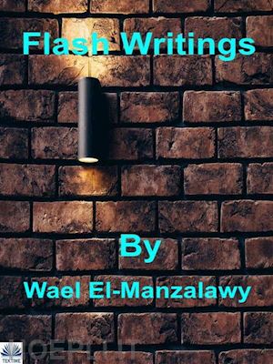 wael el-manzalawy - flash writings