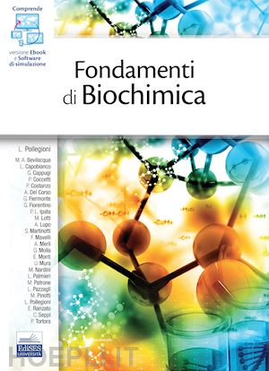 pollegioni loredano (curatore); aa.vv. - fondamenti di biochimica