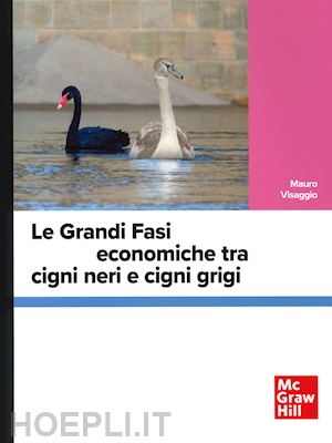 visaggio mauro - le grandi fasi economiche tra cigni neri e cigni grigi