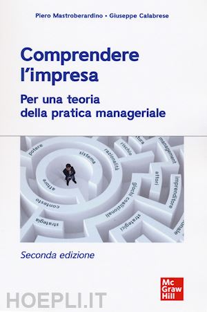 mastroberardino piero; calabrese giuseppe - comprendere l'impresa