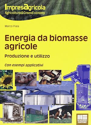 fiala marco - energia da biomasse agricole