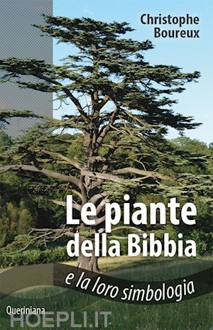 boureux christophe - piante della bibbia e la loro simbologia