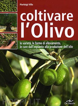 villa pierluigi - coltivare l'olivo