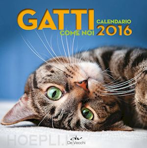  - gatti. calendario 2016