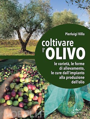 villa pierluigi - coltivare l'olivo