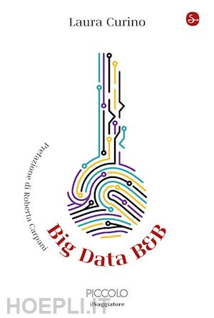 curino laura - big data b&b