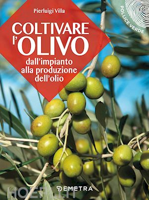 villa pierluigi - coltivare l'olivo. dall'impianto alla produzione dell'olio