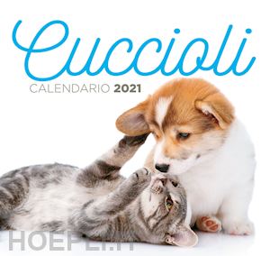 aa.vv. - cuccioli. calendario 2021 da tavolo (17 x 16)