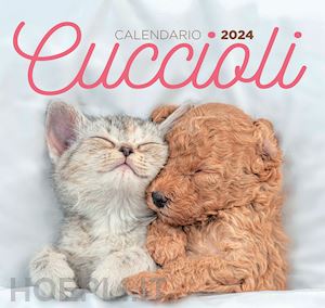 Calendario Cuccioli Desk 2024 Da Tavolo (17 X 16 Cm) 