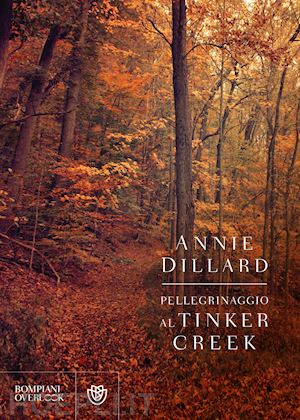 dillard annie - pellegrinaggio al tinker creek