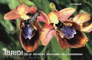  - ibridi delle orchidee spontanee della sardegna