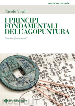 visalli nicolo' - i principi fondamentali dell'agopuntura