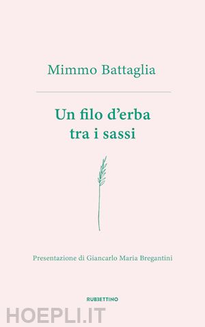 battaglia mimmo - un filo d'erba tra i sassi