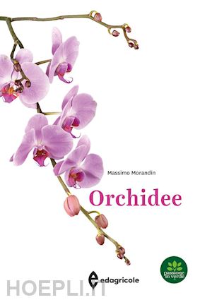 morandin massimo - orchidee