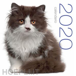 aa.vv. - gatti. calendario da muro 2020