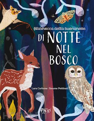 carbone lara; pettinati simone - di notte nel bosco. ediz. illustrata