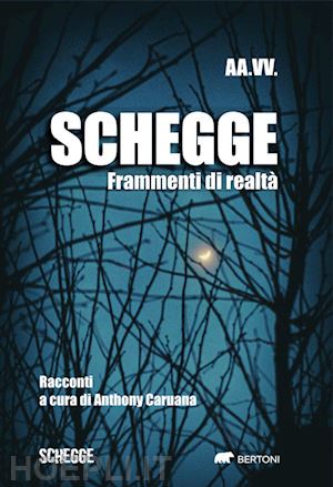 caruana a.(curatore) - schegge. frammenti di realtà