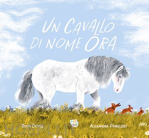 doyle ruth - un cavallo di nome ora. ediz. a colori