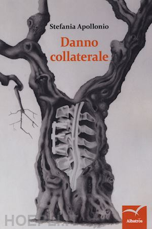 apollonio stefania - danno collaterale