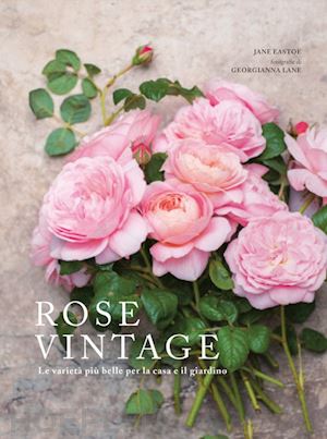 eastoe jane; lane georgianna - rose vintage