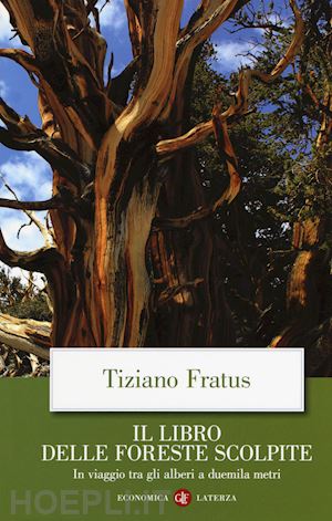 fratus tiziano - il libro delle foreste scolpite