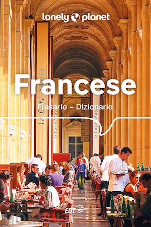 dapino c. (curatore) - francese. frasario dizionario