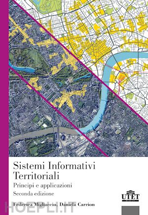 migliaccio federica; carrion daniela - sistemi informativi territoriali. principi e applicazioni