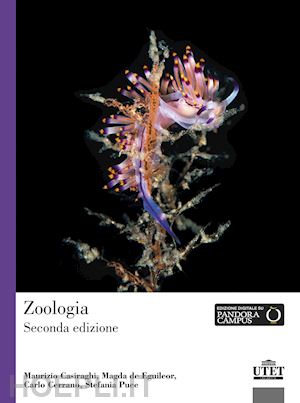 casiraghi maurizio, de eguileor magda, cerrano carlo, puce stefania - zoologia