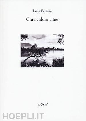 ferrara luca - curriculum vitae