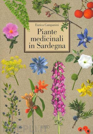 campanini enrica - piante medicinali in sardegna